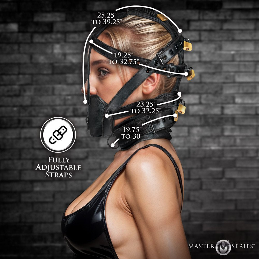 Leather Head Harness with Muzzle